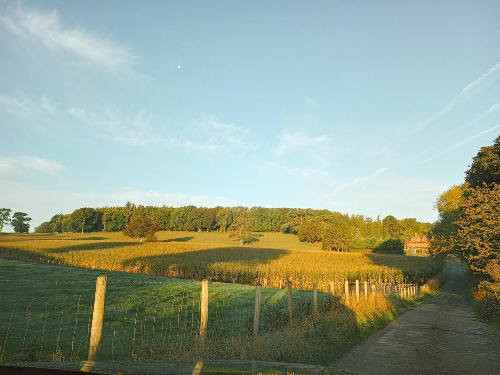 The Stables At Eriviat Hall Henllan  Bagian luar foto