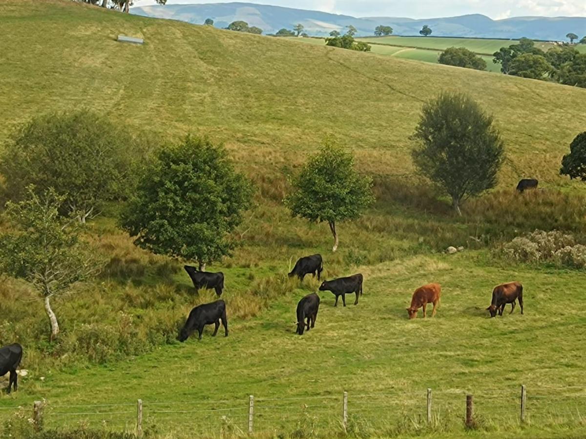 The Stables At Eriviat Hall Henllan  Bagian luar foto