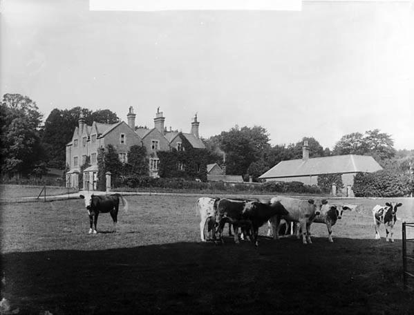 The Stables At Eriviat Hall Henllan  Bagian luar foto